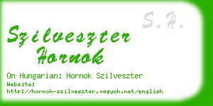 szilveszter hornok business card